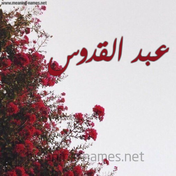 شكل 18 صوره الورد الأحمر للإسم بخط رقعة صورة اسم عبد القدوس ABD-ALQDOS